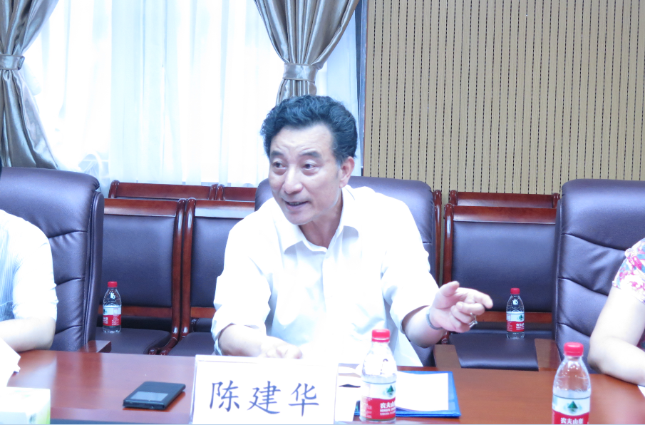 南京艺术学院陈建华教授发言